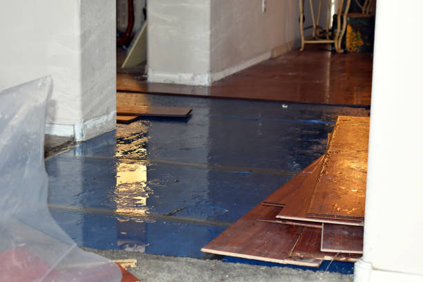 Professional Sewage Cleanup technician working in Nederland, TX